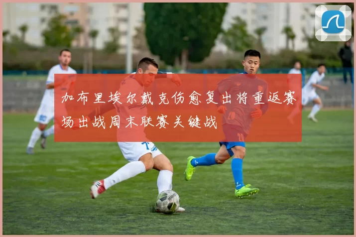 加布里埃尔戴克伤愈复出将重返赛场出战周末联赛关键战