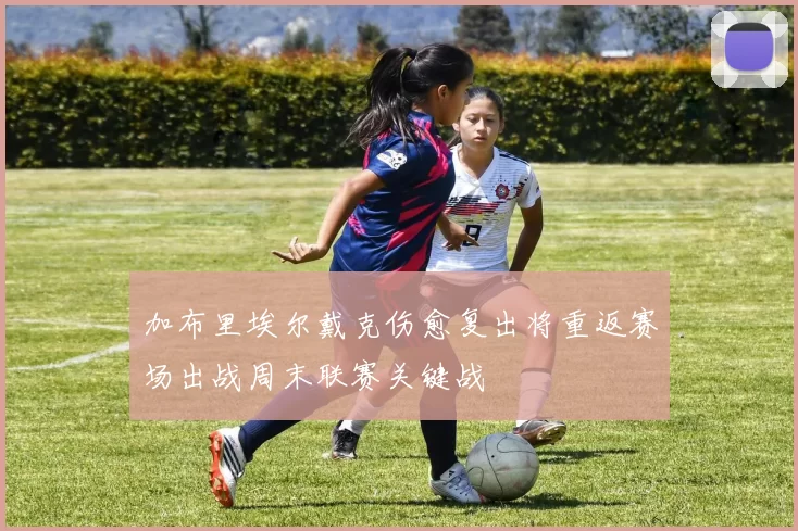 加布里埃尔戴克伤愈复出将重返赛场出战周末联赛关键战