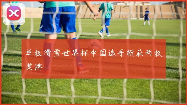 单板滑雪世界杯中国选手斩获两枚奖牌