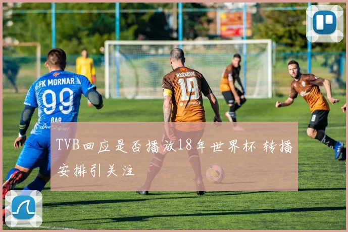 TVB回应是否播放18年世界杯 转播安排引关注
