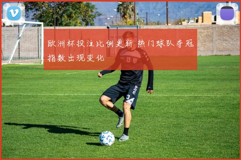 欧洲杯投注比例更新 热门球队夺冠指数出现变化